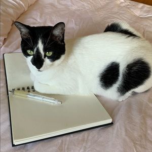 Meet your Posher, Rachel